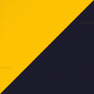 রেডিমেড ওয়েবসাইট